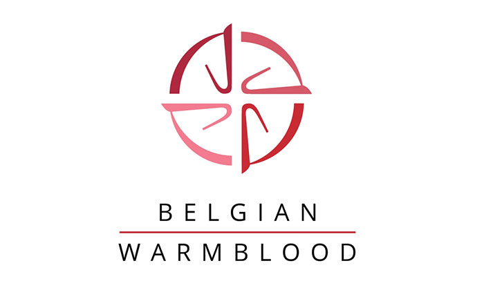 Belgian Warmblood
