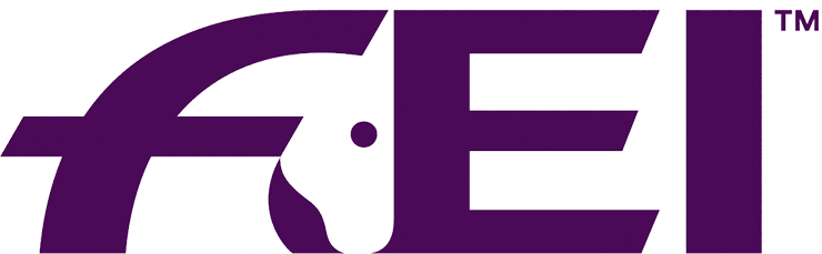 FEI Logo