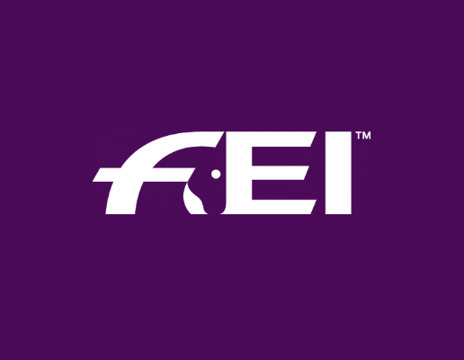 FEI Event