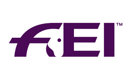 FEI Logo