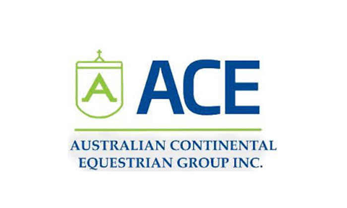 ACE logo