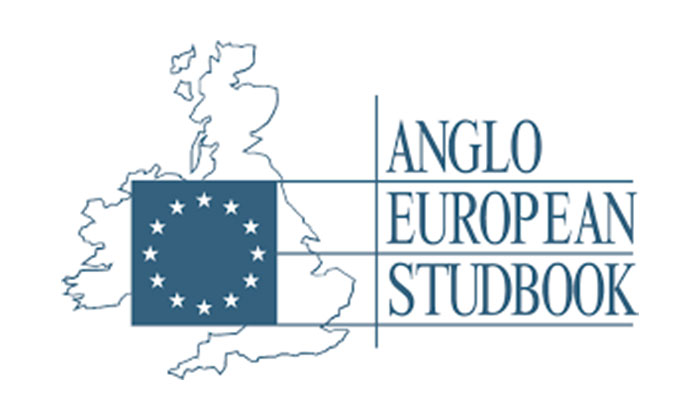 Anglo European Studbook logo