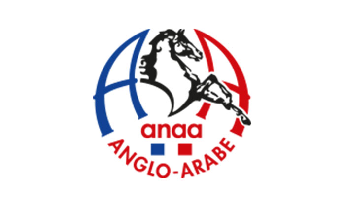 ANAA logo