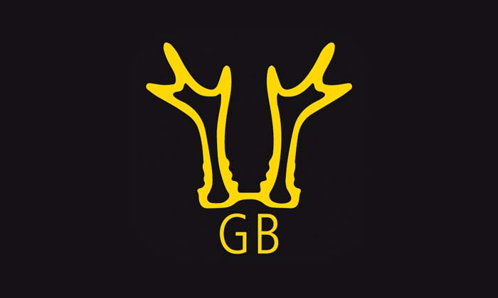 RHEIN-GB logo