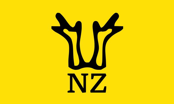 RHEIN-NZ logo